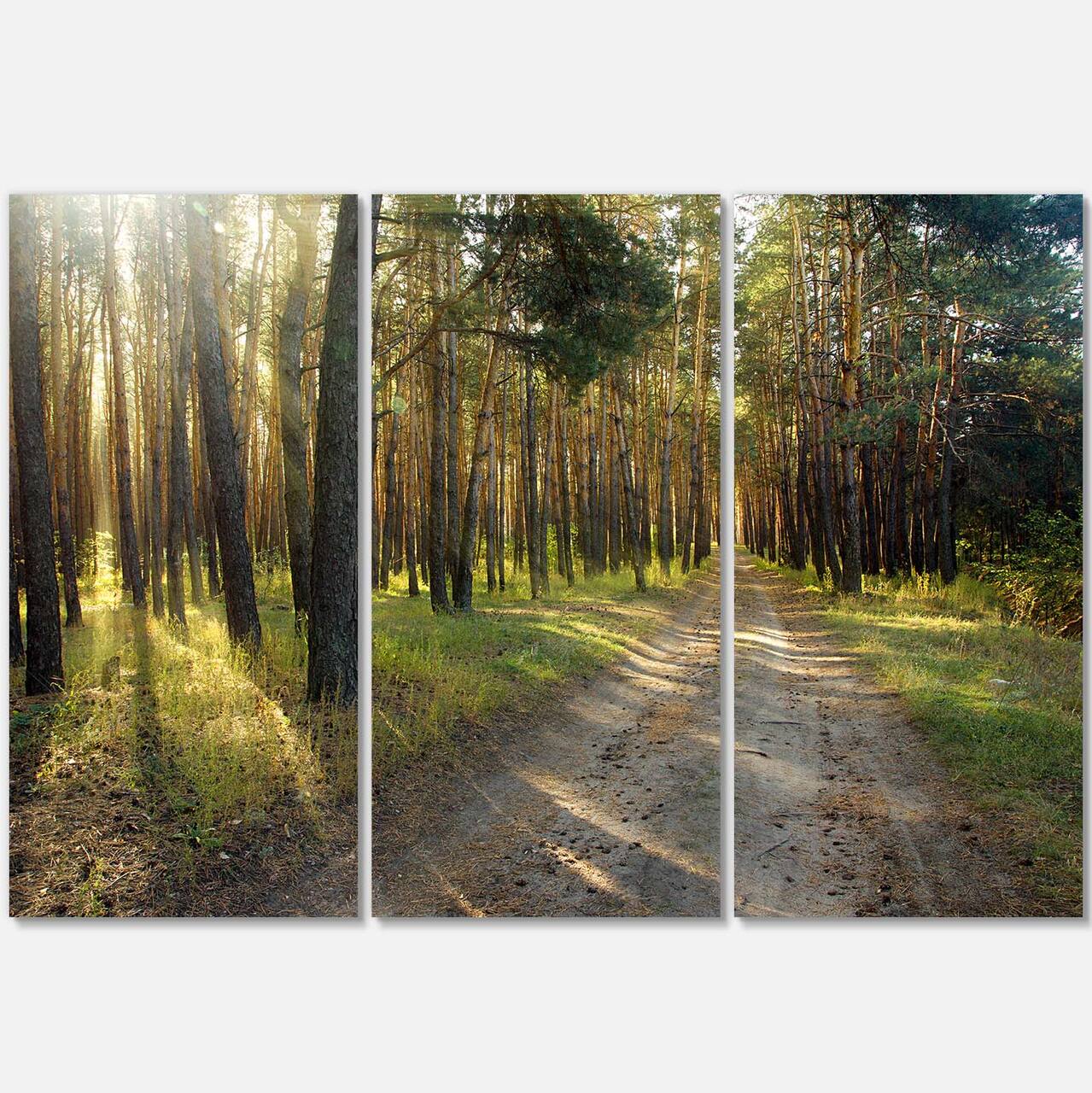 Designart - Road Through Green Pine Forest - Landscape Photography Canvas Print